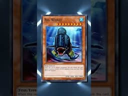 Whales Should Not Be Fish-Type