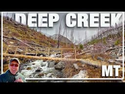Stormy Nature Walk in Paradise Valley, Montana | Deep Creek Trail Adventure