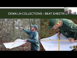 Forestry Success in the Pinelands