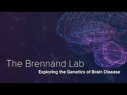 Genetics, Stem Cells, & Brain Diseases - The Brennand Lab at Yale School of Medicine