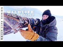 When Skills Matter More Than a Long Lens -  Wildlife Photography in -15°C on Svalbard