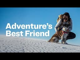 Testing the Latest Adventure Dog Gear in Southern New Mexico