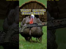 TURKEY SHOTGUN ENHANCEMENTS #shorts