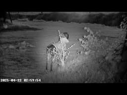 WOW! Night vision! Class - Akaso seemor 200