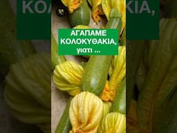 ΑΓΑΠΑΜΕ ΚΟΛΟΚΥΘΑΚΙΑ, γιατί..  #διατροφή #κολοκυθάκια #meacolpa17