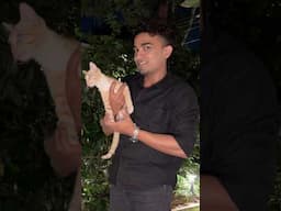 “When she likes cats and he knows it 😂❤️”