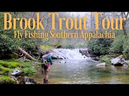 First Game fish of the United States: Legacy & Future of Brook Trout Fishing