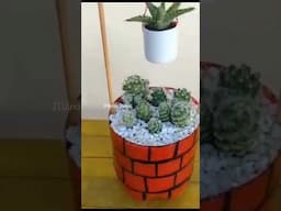 Pocinho charmoso ideia com Garrafas  Pet