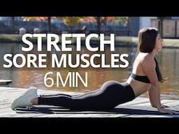 STRETCH AWAY Sore Muscles FAST with This 6 Min Everyday Stretching Routine