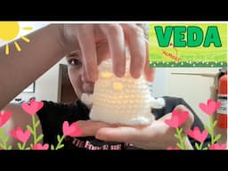 VEDA #24 🧶🧶🧶