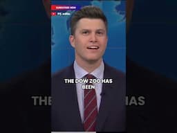 Colin Jost jokes on the Cheese theory | 'OFFENSIVE JOKES' | #shorts