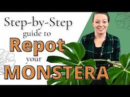 How to Repot Your Monstera | Step-by-Step for Beginners!