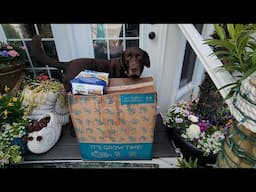 Unboxing Plant Orders & Planting up The Garden || Saturday Vlog