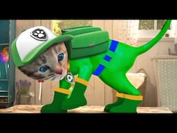 Funny Little Kitten Preschool Adventure Educational Games -Play Fun Cute Kitten Pet Care Learning
