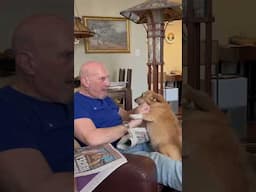 POV: You can't do anything when you have a needy dog 🤣 (🎥: ViralHog)