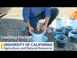 Leaching Fraction