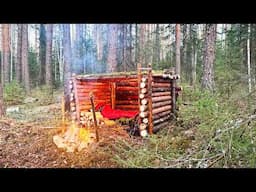 A MAN BUILD A LOG SHELTER FOR SURVIVAL IN THE WILD NORTHERN FOREST. BUSHCRAFT