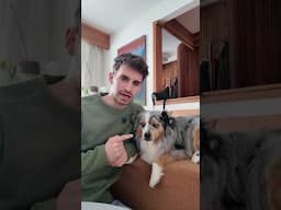 Can I keep this dog?