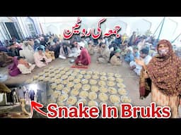 Juma Ki Routine In Village | Snake Searching In Brucks | Village Family Vlogs |Aayatvlogs