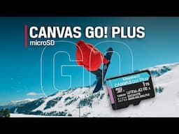 Class 10 microSD Card - V30, U3, A2 - Canvas Go! Plus microSD - Kingston Technology