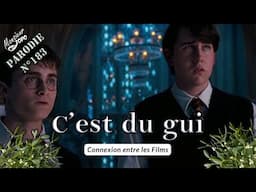 Harry Potter et l'Ordre du Phénix - C'est du Gui
