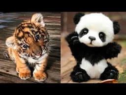AWW Animals SOO Cute! Cute baby animals Videos Compilation cute moment of the animals #11 2025