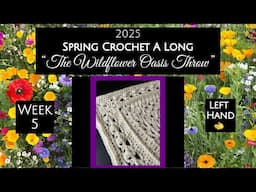 2025 Spring CAL - Week 5: “The Wildflower Oasis Throw”  (Left Hand)