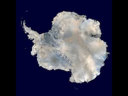 The Wilkes Land Crater and Supernova Extinctions