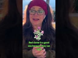 Sage for All Women