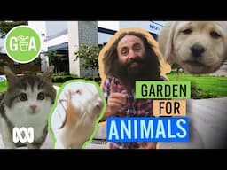 Animal Shelter Garden | Discovery | Gardening Australia