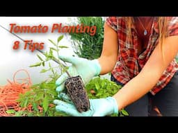 8 TOP TOMATO PLANTING TIPS in 8 Minutes