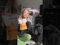 Newfie Rates His Pupford Treats!🐶❤️