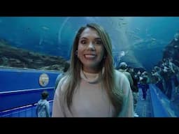 ¡Descubriendo el Acuario de Atlanta! Uno de los más grandes del mundo