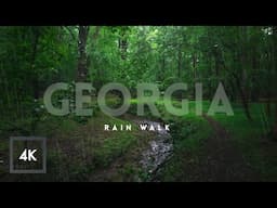Relaxing Rain Walk in Nature ASMR, Rainfall Sounds for Relaxing and Study