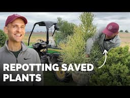 Fig Tree Maintenance + Potting Up Plants Saved Over the Winter