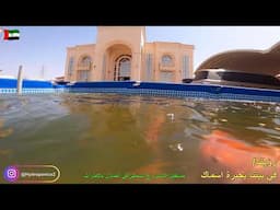 مستقبل الاستزراع السمكي  في الامارات Recirculating aquaculture system