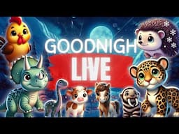 🌙✨ Enchanted Night: Live Bedtime Stories to Soothe Your Soul & Spark Sweet Dreams 💤❄️