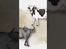 Why you should become vegan in 2025!