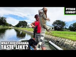 Taste Testing An Monster Iguana With Stalekracker