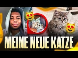 ICH HAB MIR EINE NEUE KATZE GEHOLT!😍🐈