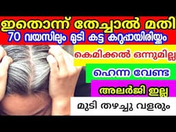 പെട്ടന്ന് തയ്യാറാക്കാവുന്ന ഒരൂ കിടിലൻ നാച്ചുറൽ ഹെയർ ഡൈ | Natural hair dye | Beauty tips| Hair care