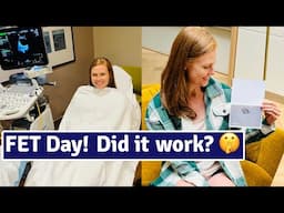 Successful Embryo Transfer! FET Step by Step