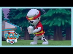 Kung Fu para perros | Paw Patrol | Wildbrain Little Ones