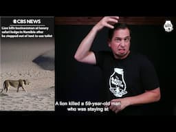 Preview of June 3 Top Stories (Lion kills man at Namibian safari lodge after he leaves tent)