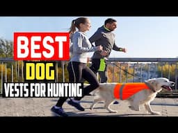 ✅Top 5 Best Dog Vests For Hunting in 2025