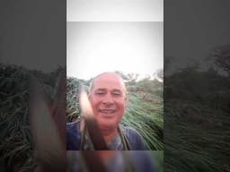 Tempestade deitou tudo - Ary Português #fy #sitio #chuva #tempestade