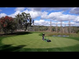 You should be Spraying Liquid Fert