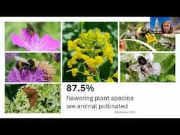 Farmland Pollinators and Pollination – Influence of Policy and Practice by Prof. Jane Stout