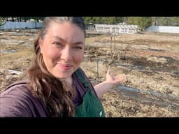 Spring In The Garden (cover crops, drip lines, & mulch)