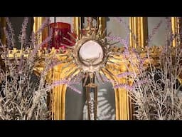 Five minutes with Jesus - 16th June 2025